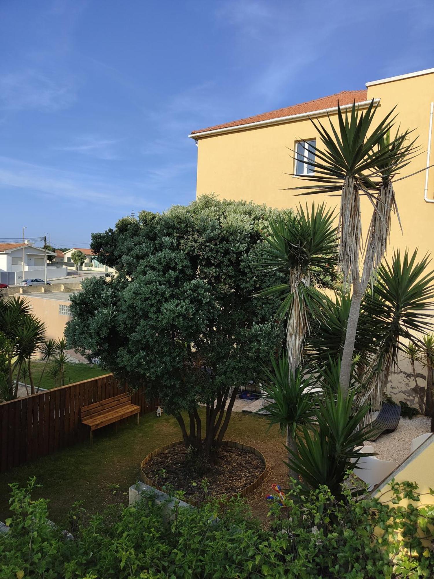 Casa Amarela Villa Cortegaça Dış mekan fotoğraf